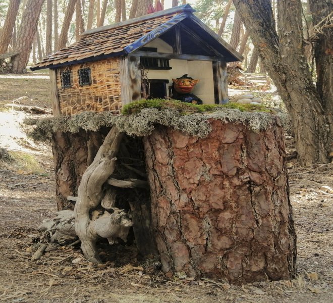Bosque mágico fuente del pino san leoanrdo de yague